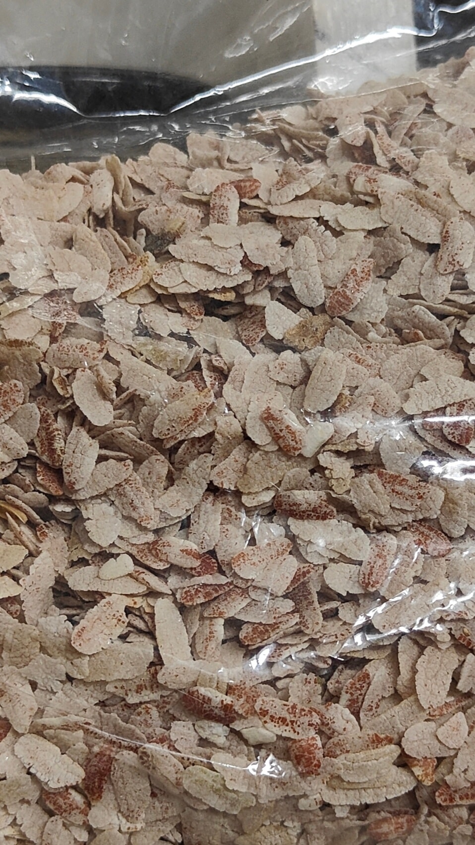আউশ ধানের চিড়া