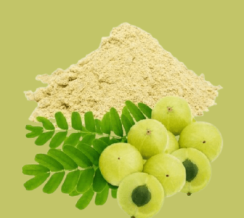 Amla Powder 100gm