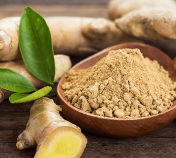 Ginger Powder 100gm
