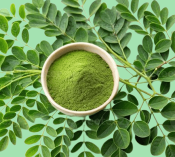 Moringa Powder